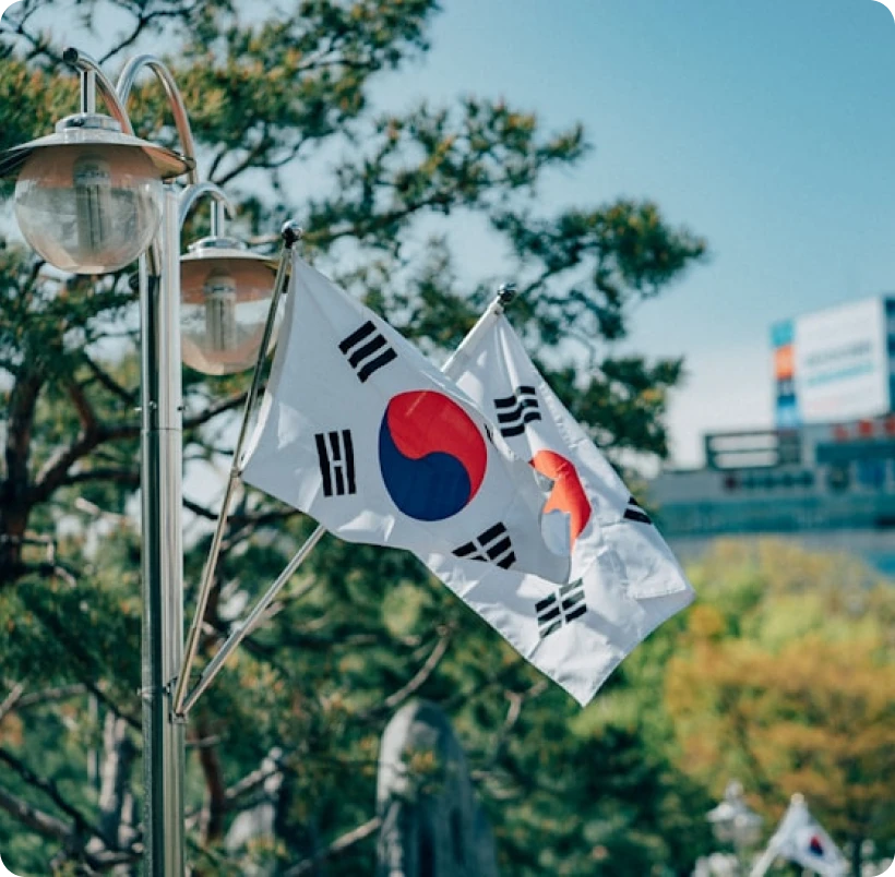 S Korea Img